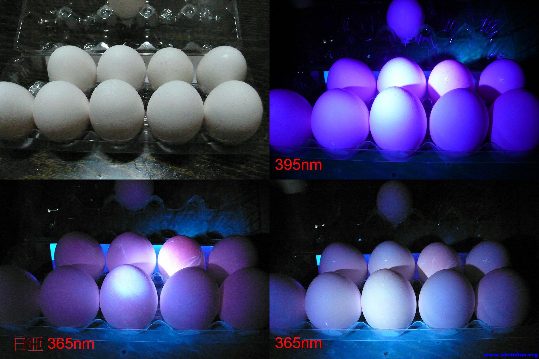 雞蛋對比-1.jpg