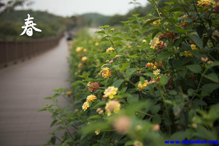 路上的风景.jpg