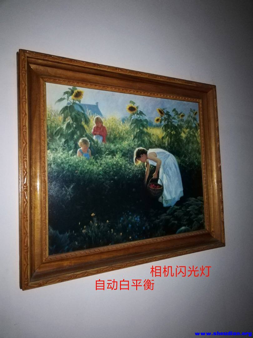 1相机闪光灯.jpg