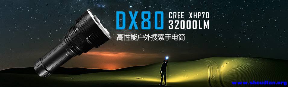 DX80.jpg