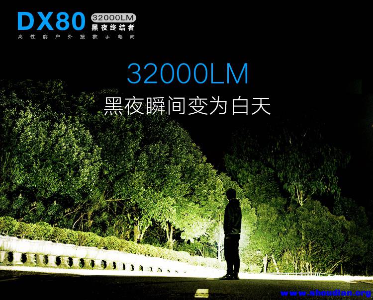 DX80淘宝微信_06.jpg