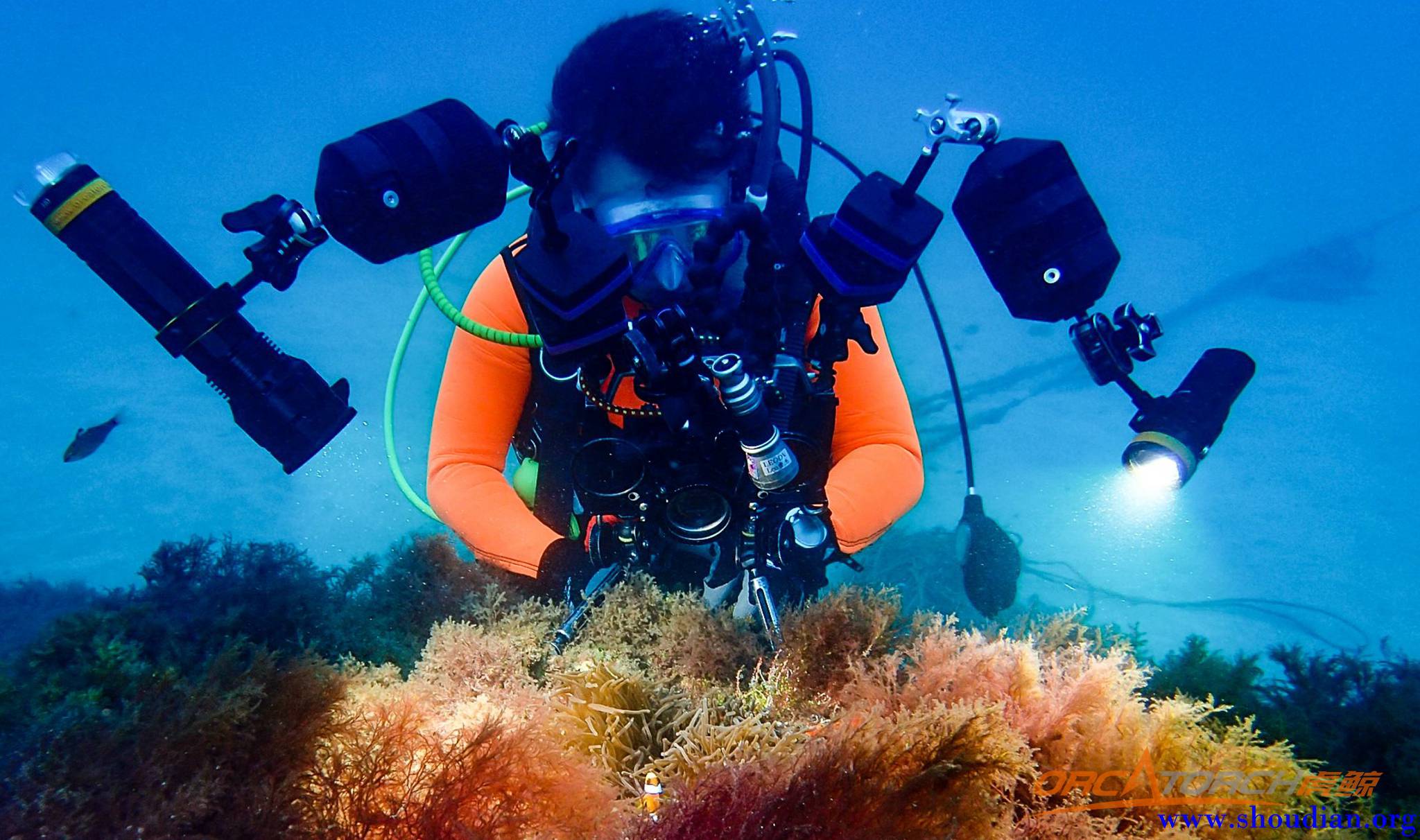 水下摄影补光潜水手电筒照明知识科普丨OrcaTorch潜水2.jpg