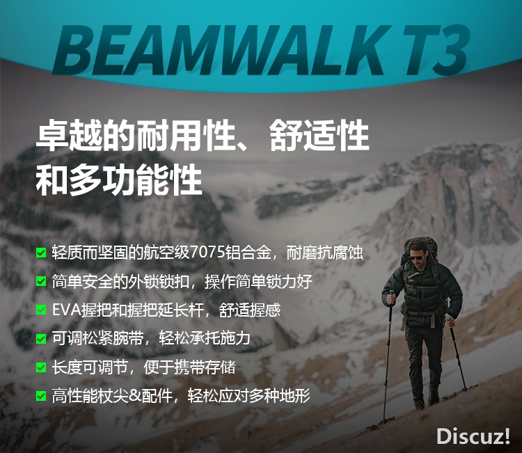 Beamwalk-T3_12-.jpg