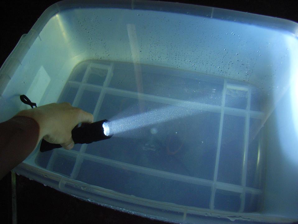 一款中端手电的生活防水性能测试多图鉴赏