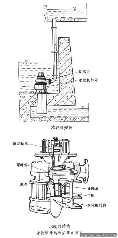 抽水泵结构图打不出来图片